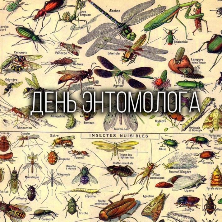 21 января – День энтомолога